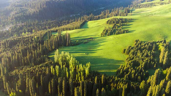 9 Days Altay, Kanas, Hemo Northern Xinjiang Discovery Tour