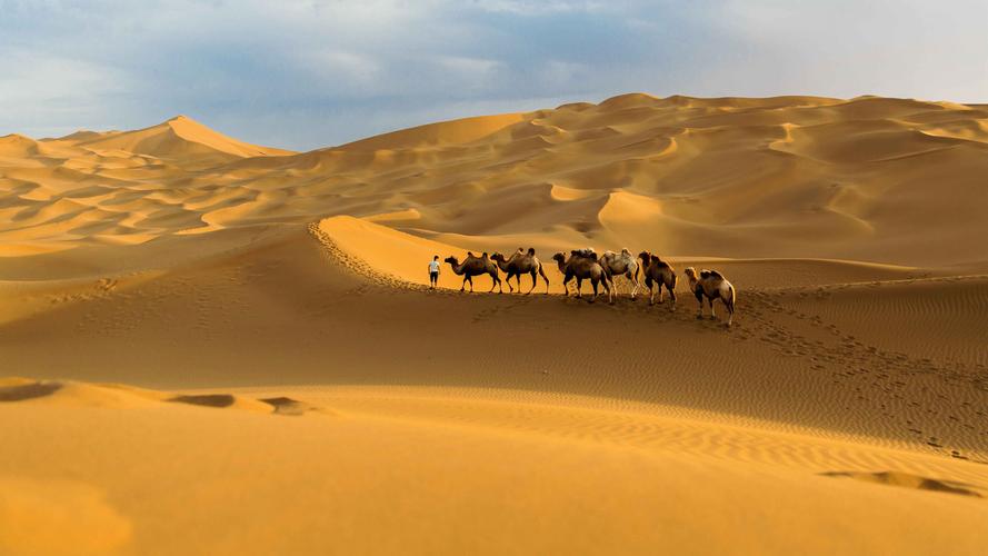 2Days Trip To Yarkant  With Camping In The Taklimakan  Dessert  